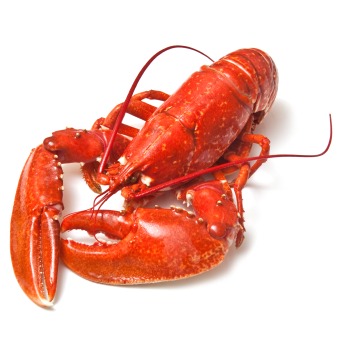 China's lobster demand
