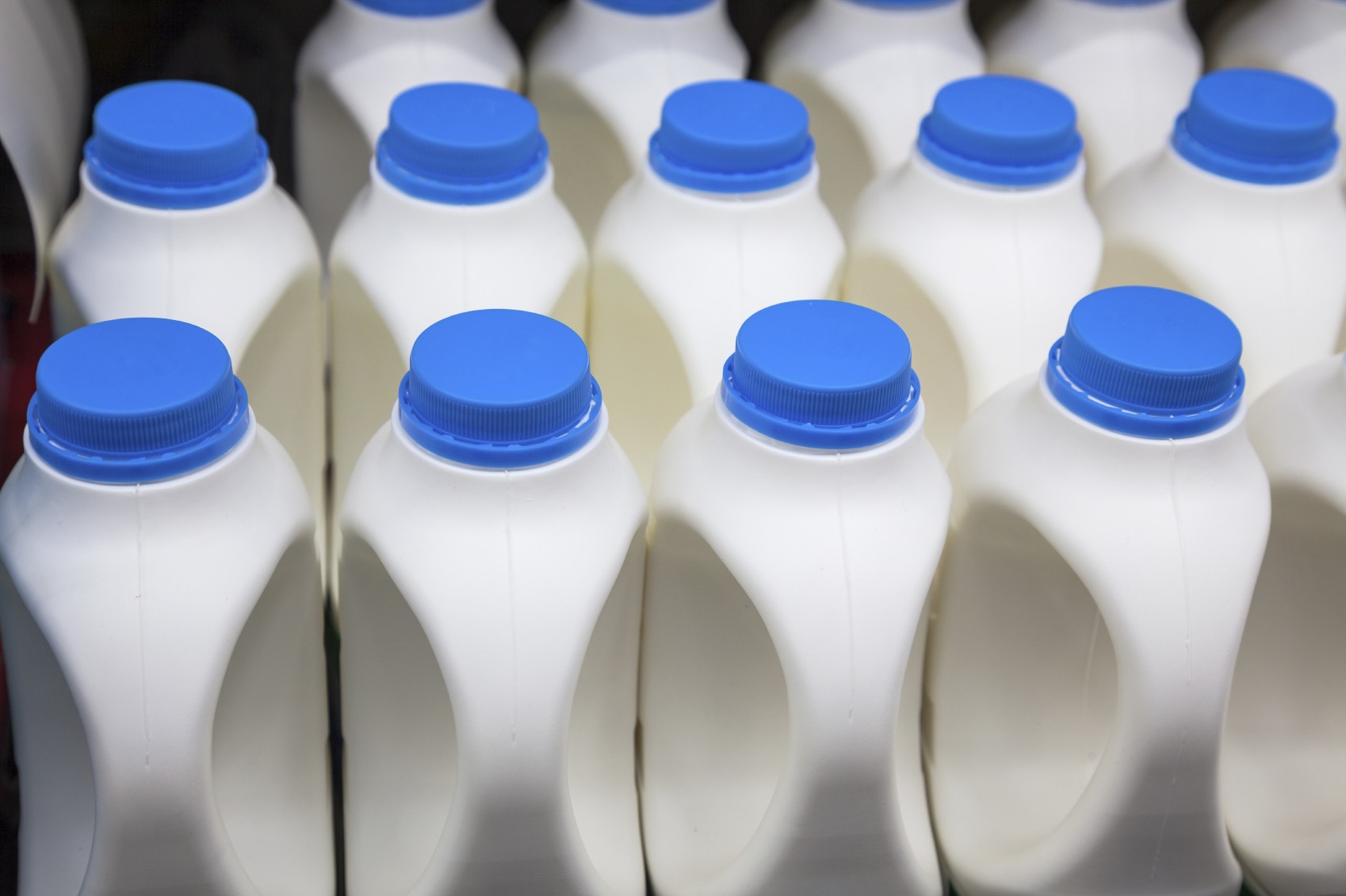 milk consumption