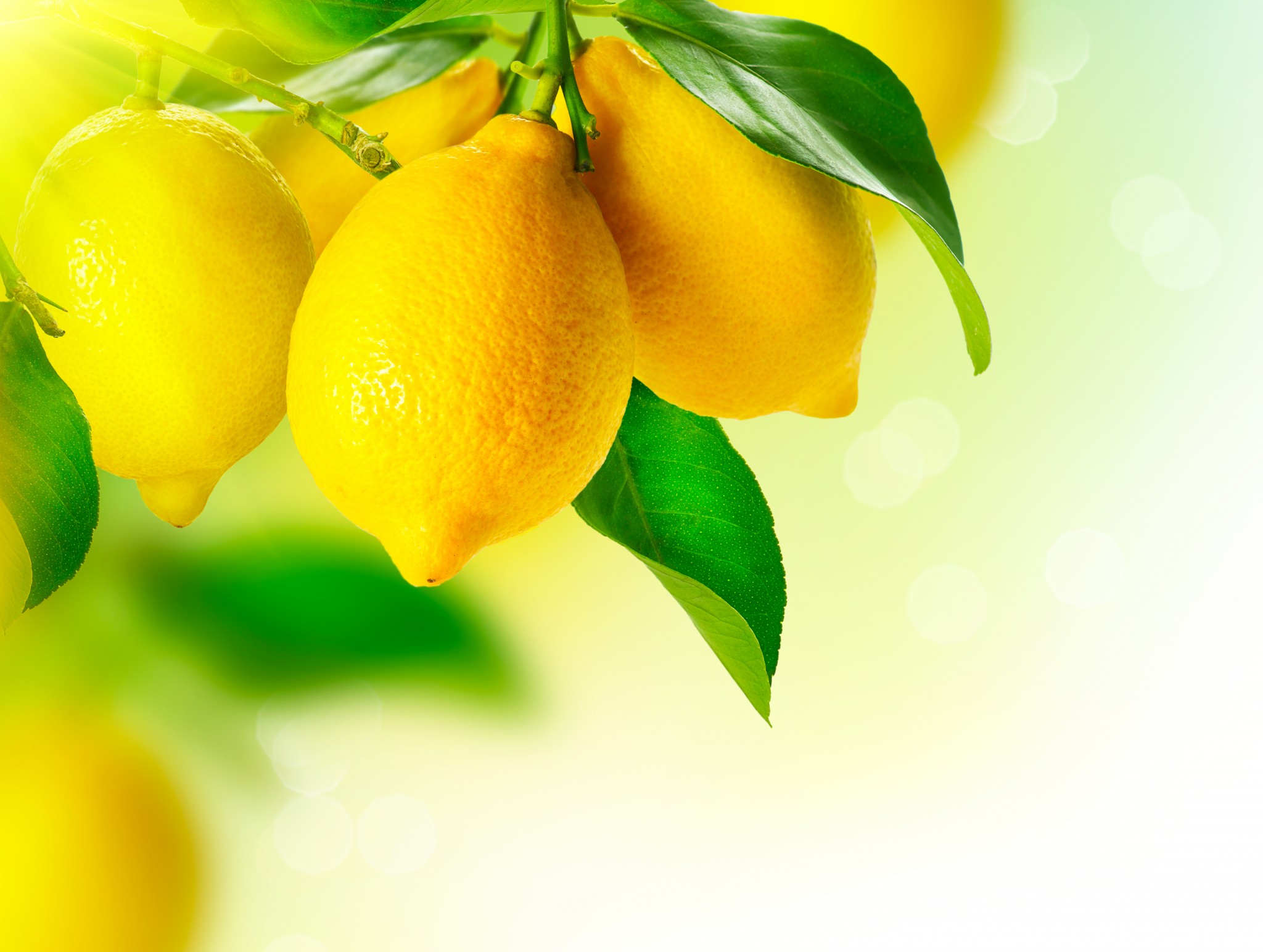Because of less supply and more demand, lemon prices are soaring.