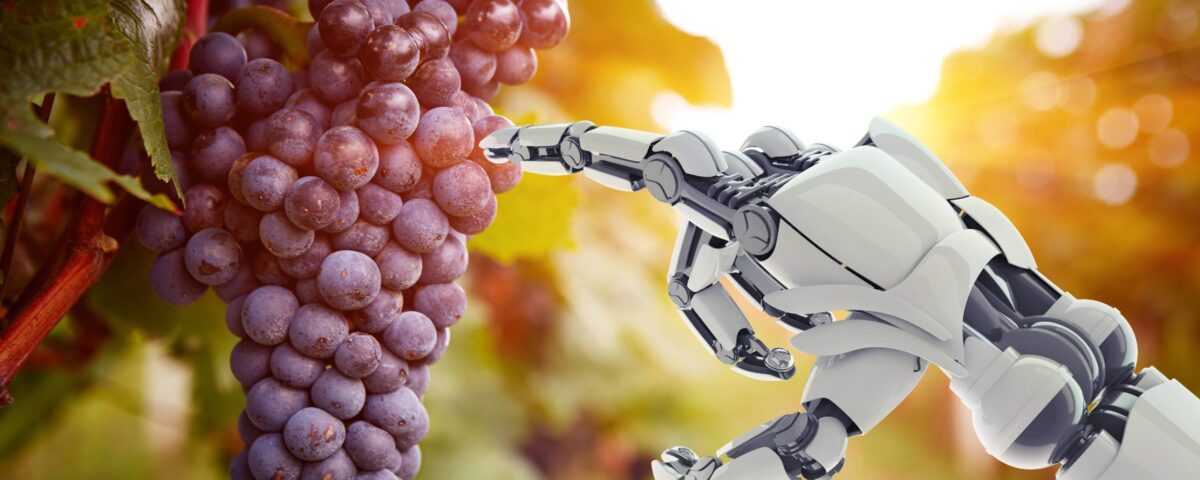 Weekly Economic News Roundup and grape picking robots