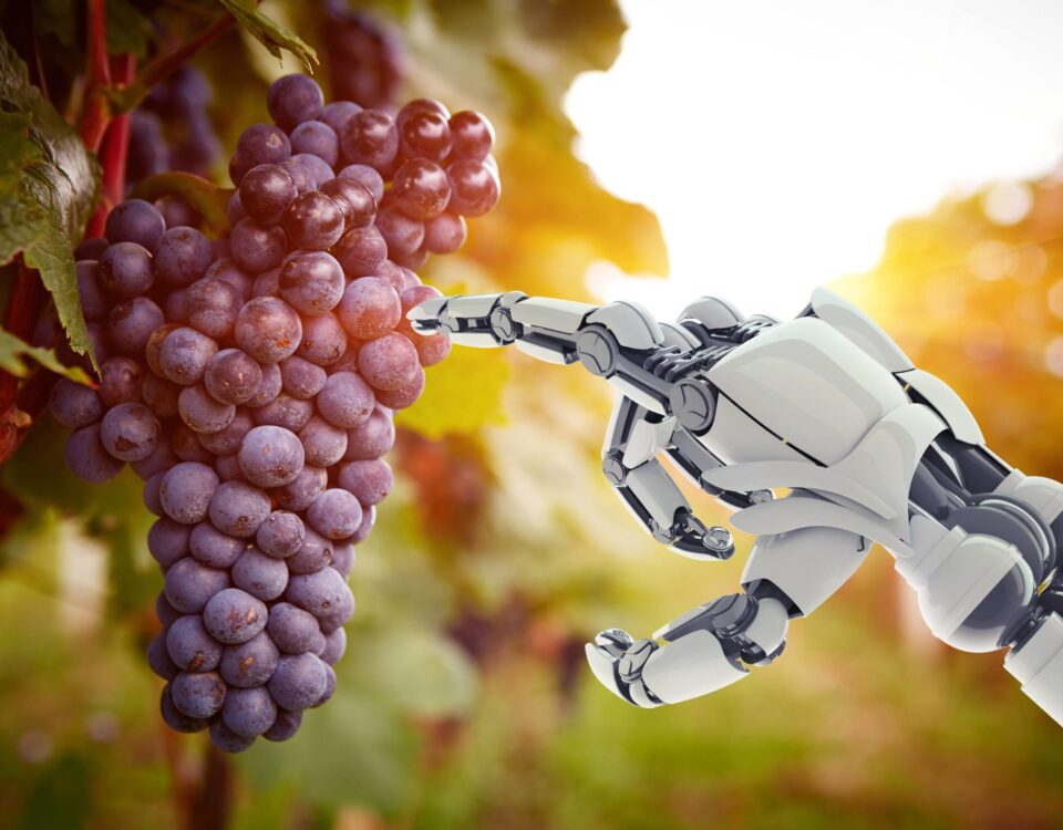 Weekly Economic News Roundup and grape picking robots