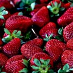 Weekly economic news roundup and free trade for strawberries and chickens