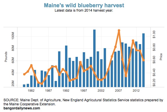blueberry economics