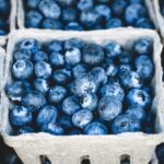 Weekly economic news roundup and blueberry economics