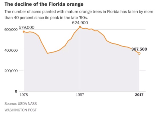 Florida orage industry