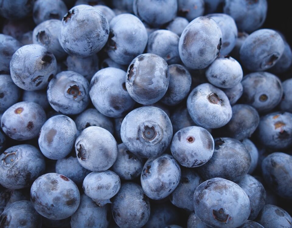 Weekly Economic News Roundup and paying for blueberries