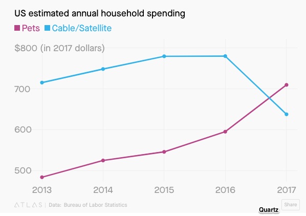 Pet spending