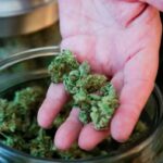 Weekly Economic News Roundup and Canada's marijuana supply