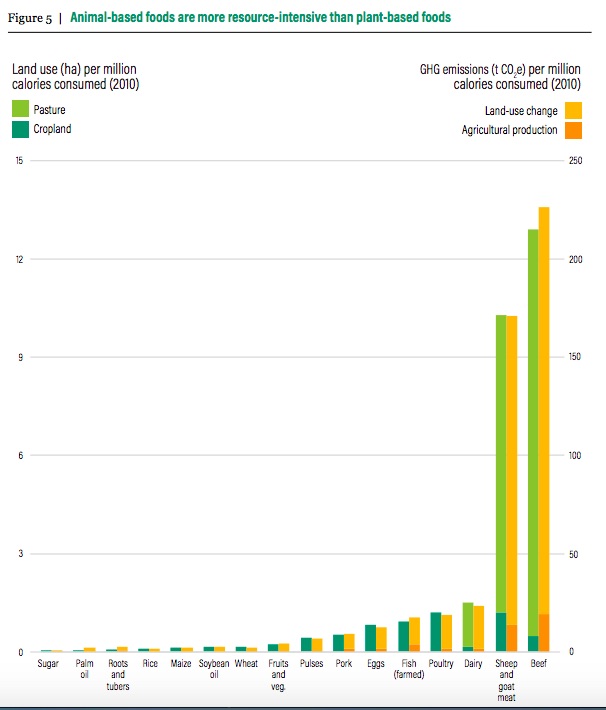 Population growth
