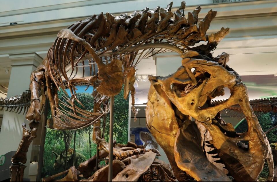 Smithsonian T.rex