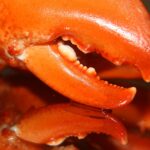 weekly economic news roundup and lobster fishing dispute