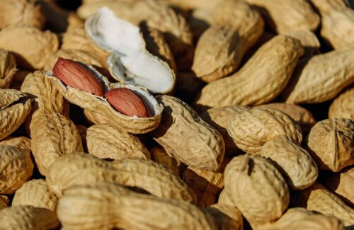 peanut research