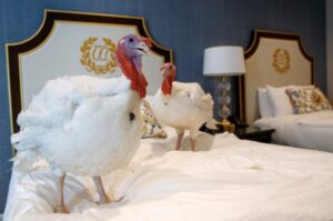 economic news roundup and turkey pardons