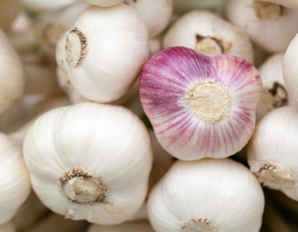 Weekly Economic News Roundup and coronavirus impact on garlic