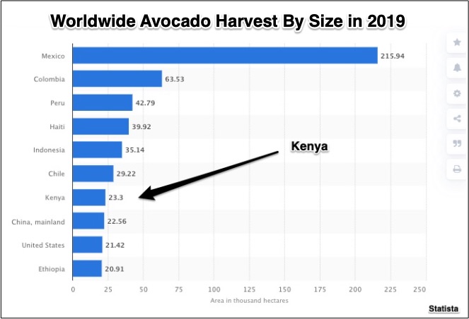 Kenya's avocado production