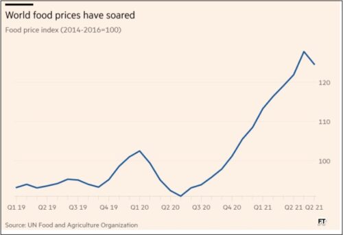 World Food Prices: 6 Facts That Show Why, Where and the Impact