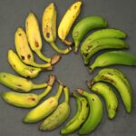 banana's travels