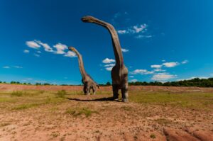dinosaur fossils
