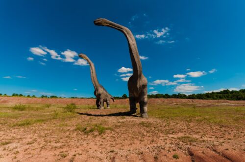 dinosaur fossils