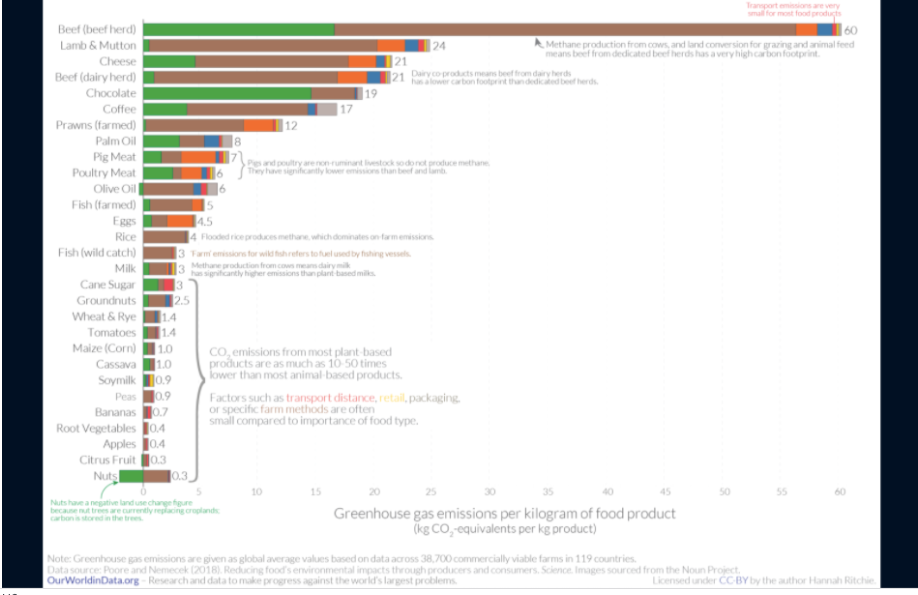 carbon footprint