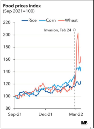 world wheat supply