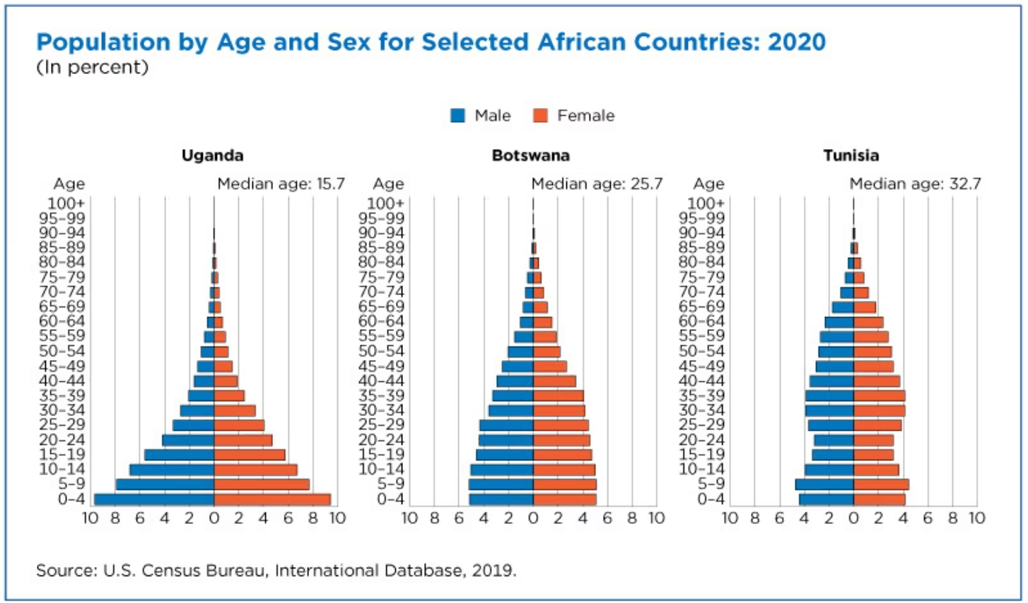 population pyramids