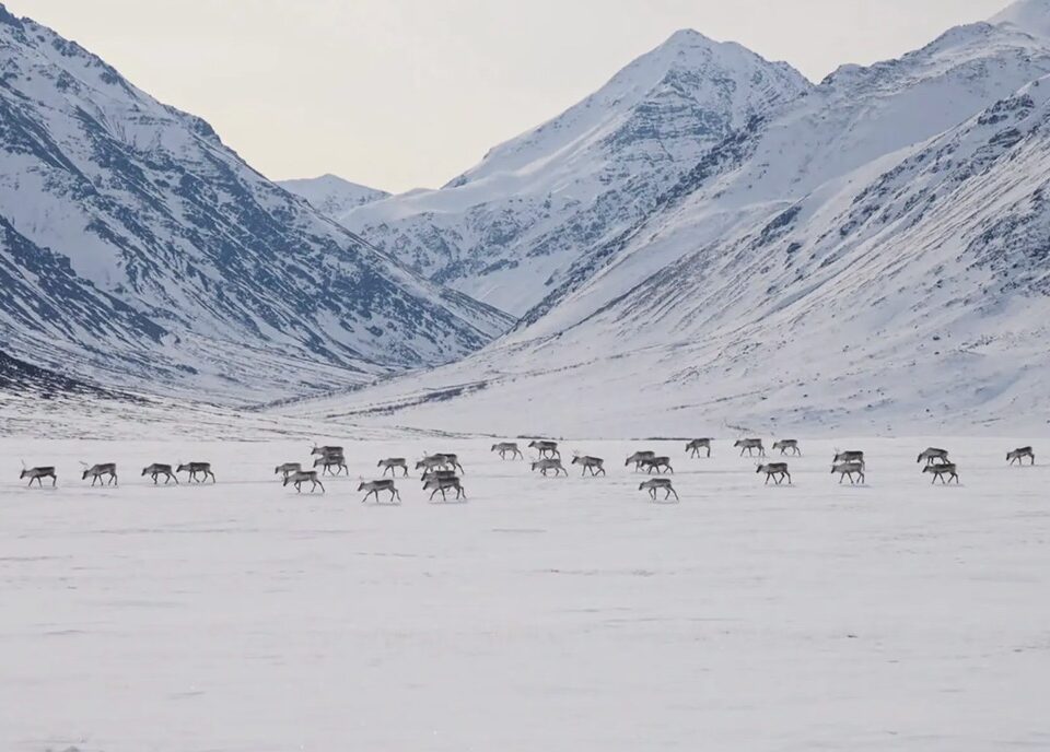 Gates of the Arctic National Park & Preserve