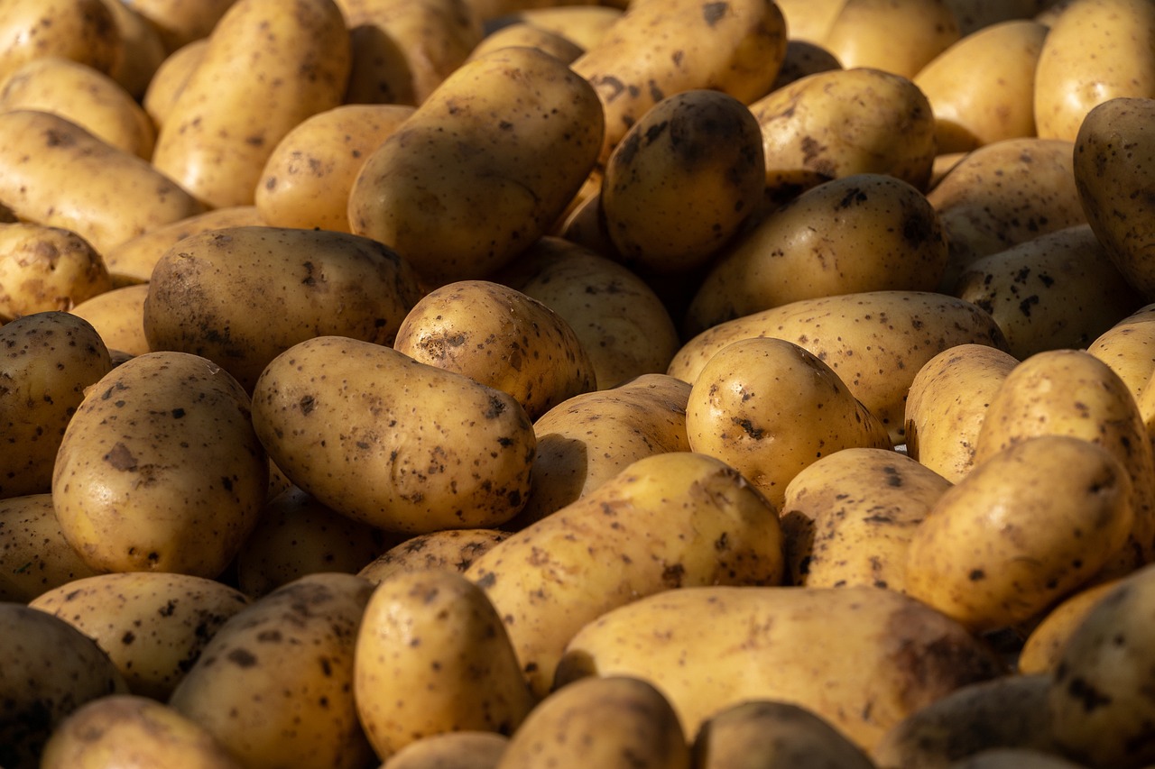 Weekly Economic News Roundup and China's potato demand