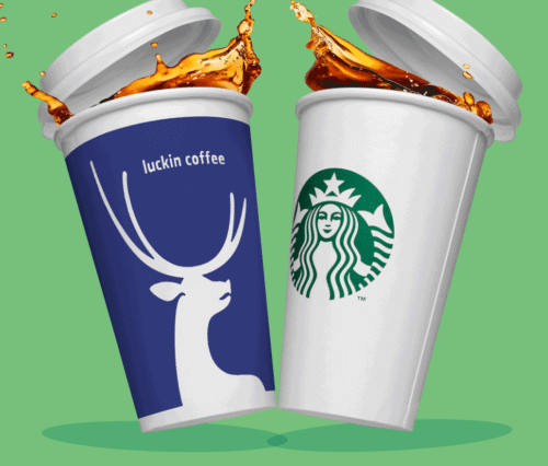 coffee competition