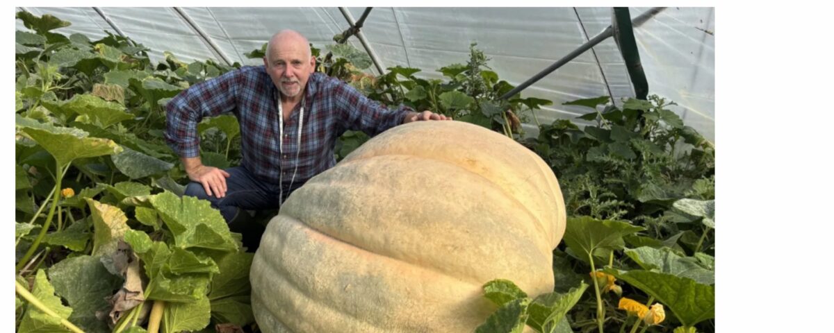 giant vegetables