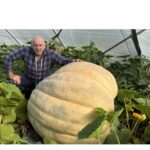 giant vegetables