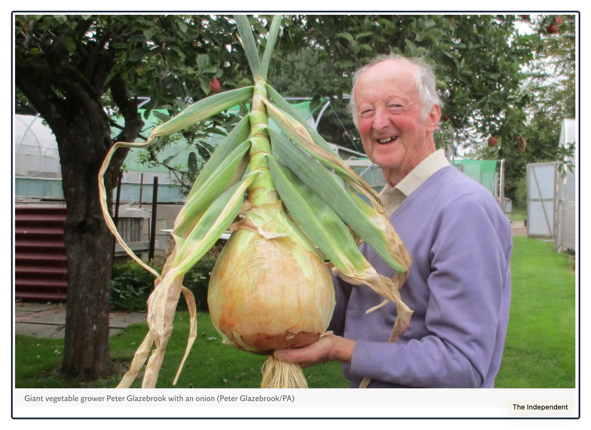 giant vegetables