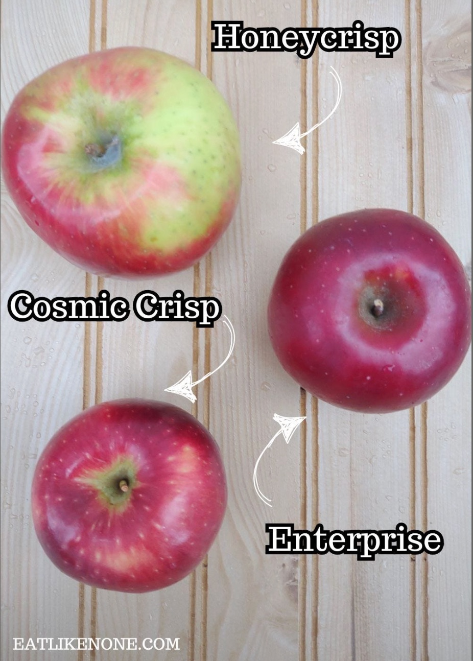 apple history