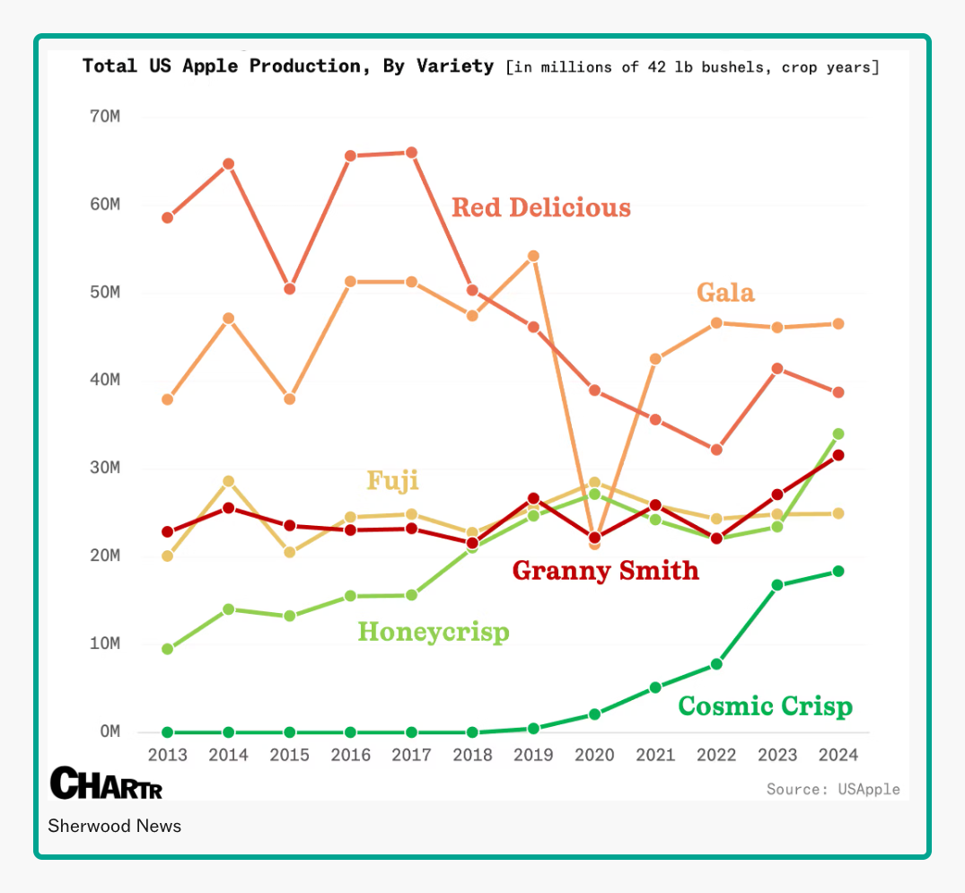apple popularity