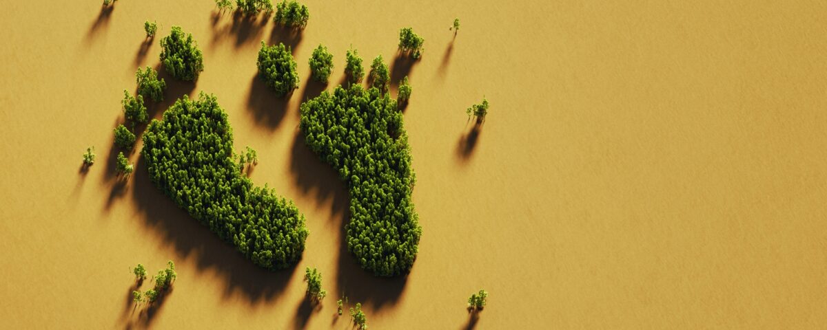 Where Carbon Hoofprints and Footprints Change Emissions | econlife