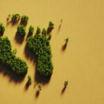 Where Carbon Hoofprints and Footprints Change Emissions | econlife