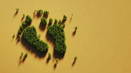 Weekly Economic News Roundup and Where Carbon Hoofprints and Footprints Change Emissions | econlife