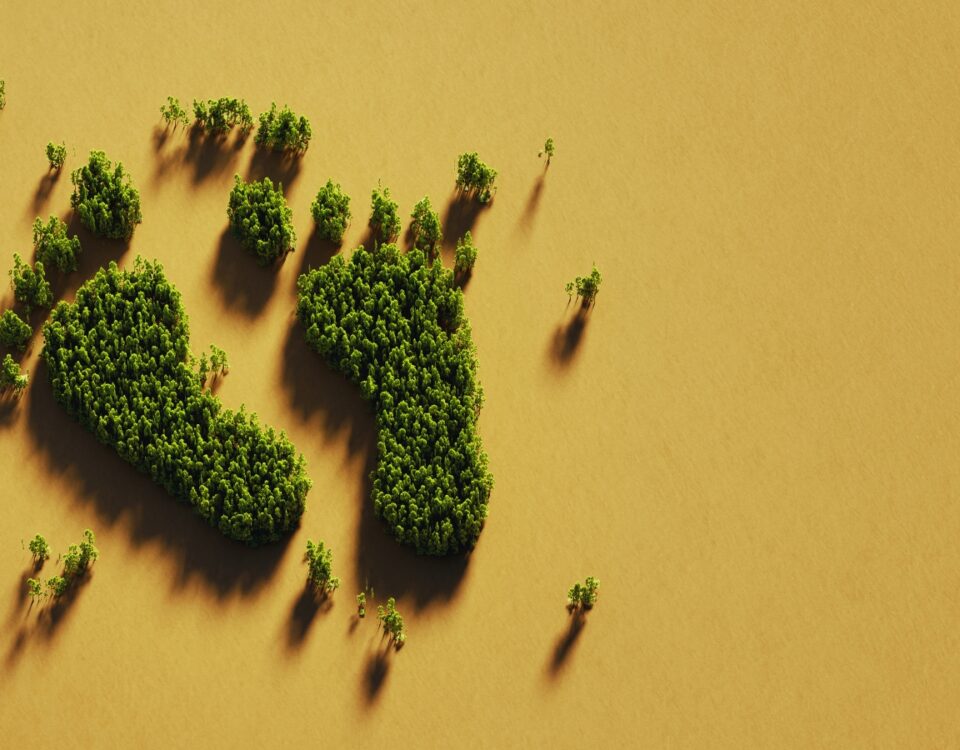 Where Carbon Hoofprints and Footprints Change Emissions | econlife