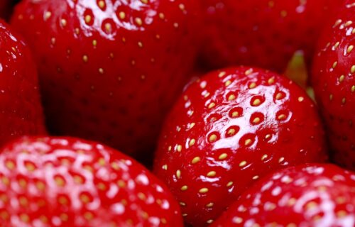 fruit spending