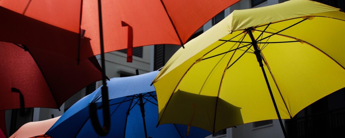umbrella entrepreneurs