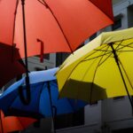 umbrella entrepreneurs