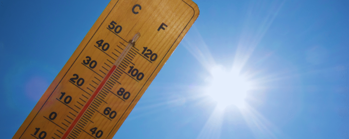 Bears, Nuts, Chocolate, and Climate Change | econlife