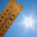 Bears, Nuts, Chocolate, and Climate Change | econlife