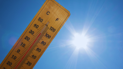 Weekly Economic News Roundup and Bears, Nuts, Chocolate, and Climate Change | econlife