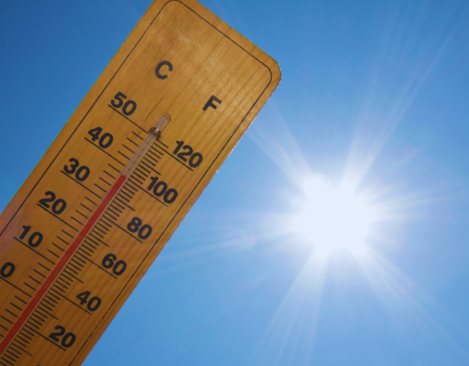 Bears, Nuts, Chocolate, and Climate Change | econlife