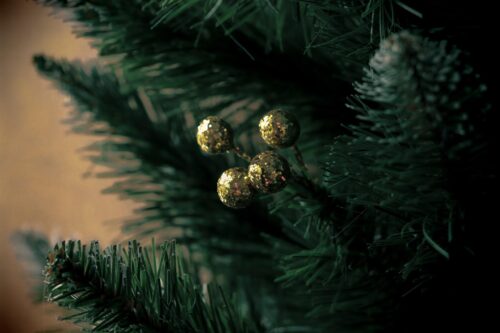 Weekly Economic News Roundup and Christmas trees