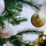 Econlife: 2025 Holiday Quiz