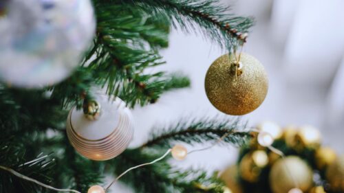 Econlife: 2025 Holiday Quiz