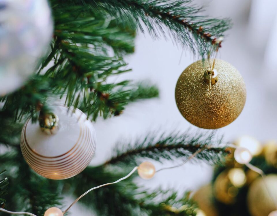 Econlife: 2025 Holiday Quiz