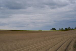 Weekly Economic News Roundup and low hire, low fire